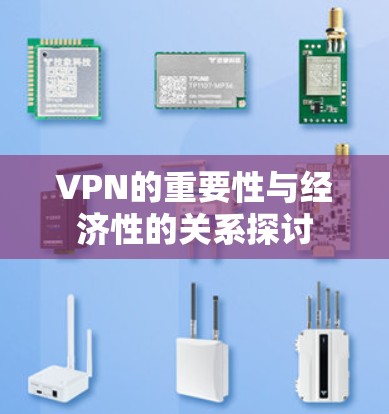 VPN的重要性与经济性的关系探讨