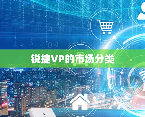 锐捷VP的市场分类