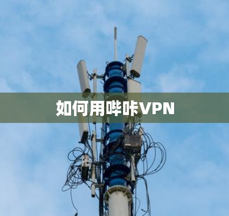 如何用哔咔VPN