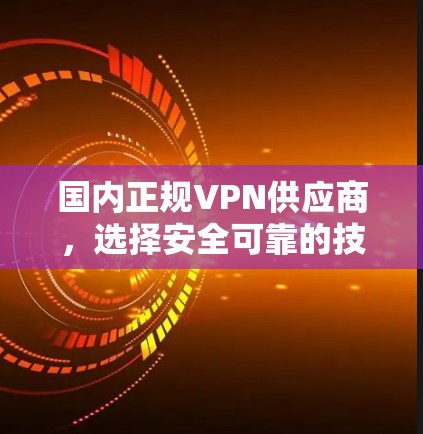 国内正规VPN供应商，选择安全可靠的技术守护你的通信