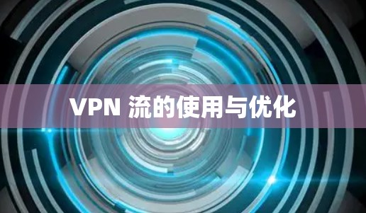 VPN 流的使用与优化