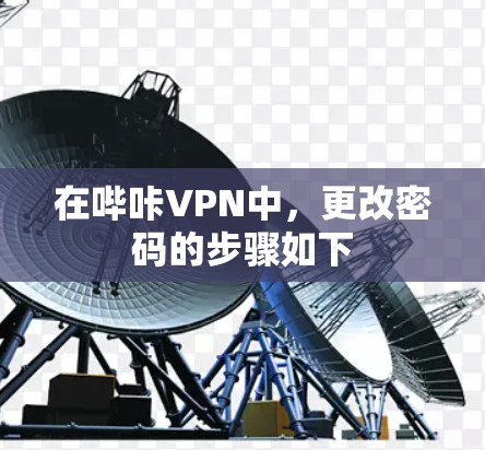 在哔咔VPN中，更改密码的步骤如下