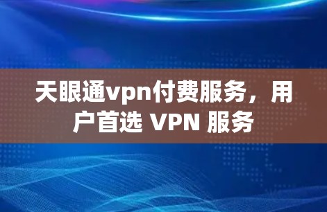 天眼通vpn付费服务，用户首选 VPN 服务