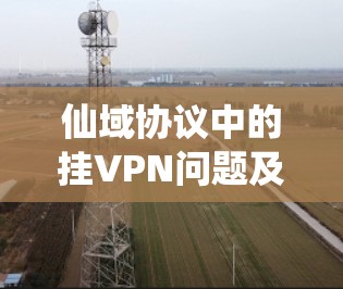 仙域协议中的挂VPN问题及解决方案
