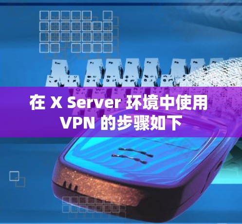 在 X Server 环境中使用 VPN 的步骤如下
