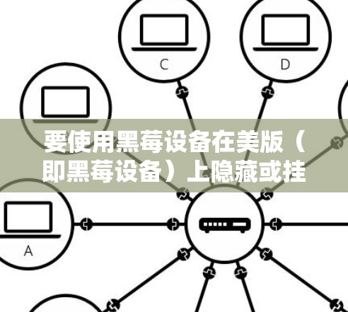 要使用黑莓设备在美版（即黑莓设备）上隐藏或挂VPN，可以按照以下步骤操作