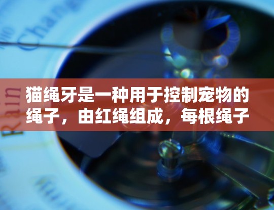 猫绳牙是一种用于控制宠物的绳子,由红绳组成,每根绳子有三个结。正确使用猫绳牙需要掌握握法、操作技巧以及注意事项。以下是一些详细步骤和注意事项,帮助您更好地使用猫绳牙 猫绳牙是一种用于控制宠物的绳子,由红绳组成,每根绳子有三个结。正确使用猫绳牙需要掌握握法、操作技巧以及注意事项。以下是一些详细步骤和注意事项,帮助您更好地使用猫绳牙