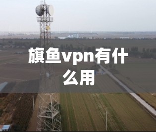 旗鱼vpn有什么用