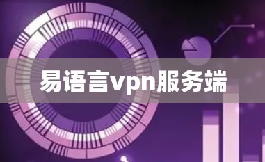 易语言vpn服务端