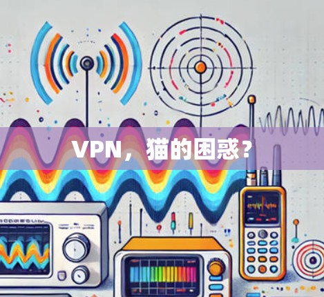 VPN,猫的困惑? VPN,猫的困惑?