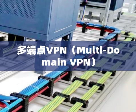 多端点VPN(Multi-Domain VPN) 多端点VPN(Multi-Domain VPN)