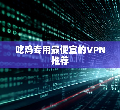 吃鸡专用最便宜的VPN推荐 吃鸡专用最便宜的VPN推荐