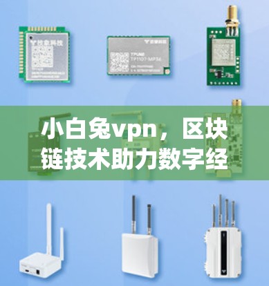 小白兔vpn，区块链技术助力数字经济发展