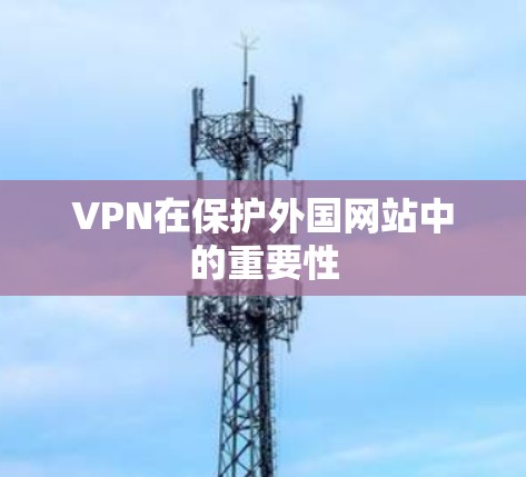 VPN在保护外国网站中的重要性