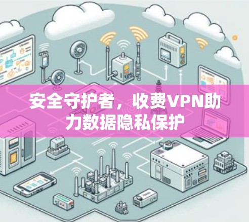 安全守护者，收费VPN助力数据隐私保护