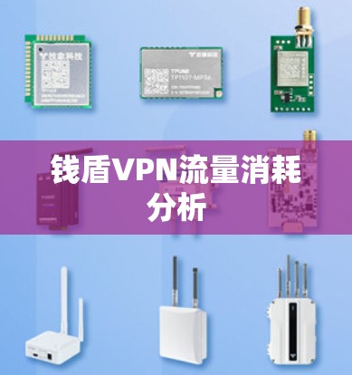 钱盾VPN流量消耗分析