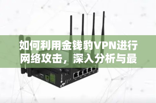 如何利用金钱豹VPN进行网络攻击,深入分析与最佳应对策略 如何利用金钱豹VPN进行网络攻击,深入分析与最佳应对策略