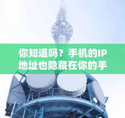 你知道吗？手机的IP地址也隐藏在你的手机里