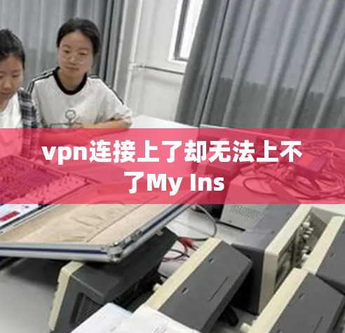 vpn连接上了却无法上不了My Ins vpn连接上了却无法上不了My Ins