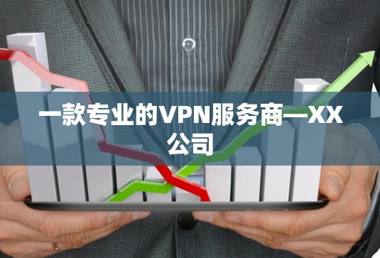 一款专业的VPN服务商—XX公司