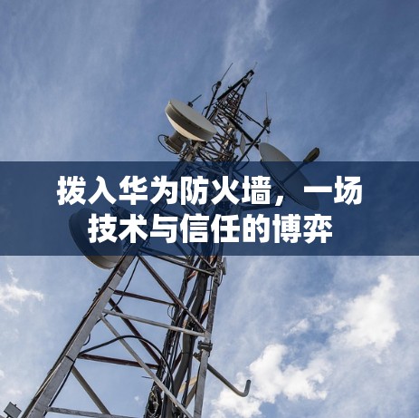 拨入华为防火墙，一场技术与信任的博弈