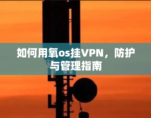 如何用氧os挂VPN，防护与管理指南