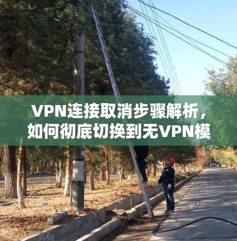 VPN连接取消步骤解析，如何彻底切换到无VPN模式