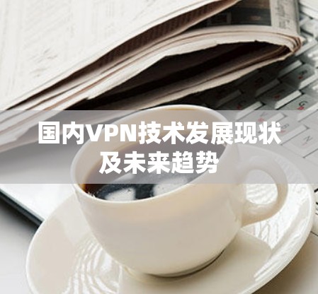 国内VPN技术发展现状及未来趋势 国内VPN技术发展现状及未来趋势