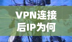 VPN连接后IP为何不变?实际操作中的常见问题 VPN连接后IP为何不变?实际操作中的常见问题