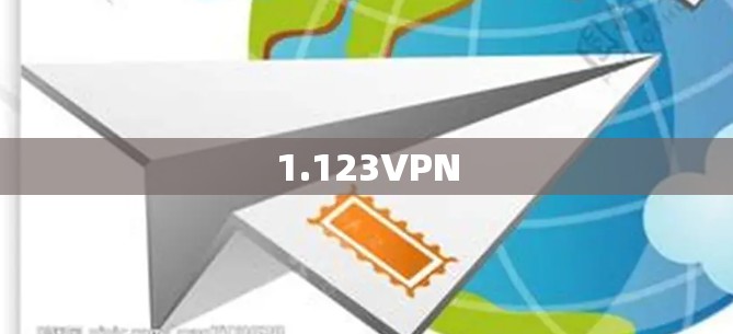 1.123VPN