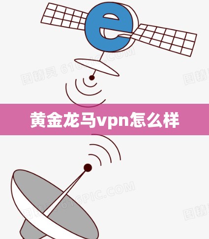 黄金龙马vpn怎么样