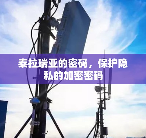泰拉瑞亚的密码,保护隐私的加密密码 泰拉瑞亚的密码,保护隐私的加密密码