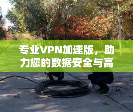 专业VPN加速版，助力您的数据安全与高效传输