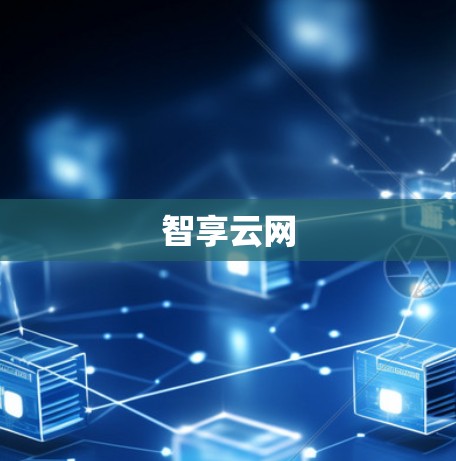 智享云网 智享云网