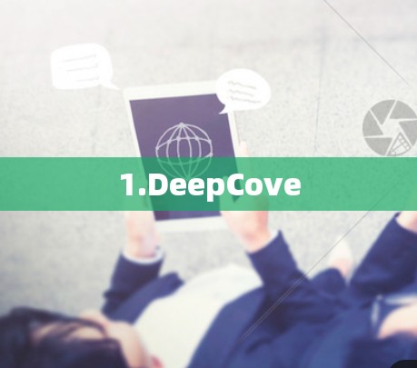1.DeepCove