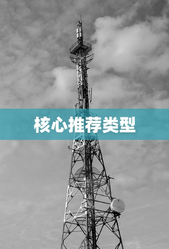 核心推荐类型
