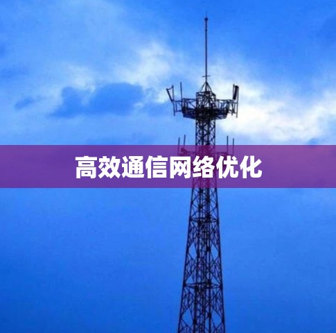 高效通信网络优化 高效通信网络优化