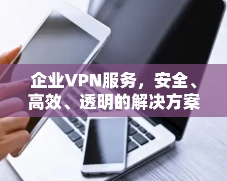企业VPN服务,安全、高效、透明的解决方案 企业VPN服务,安全、高效、透明的解决方案