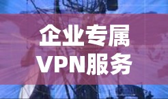 企业专属VPN服务—助力企业数据安全与网络连接 企业专属VPN服务—助力企业数据安全与网络连接