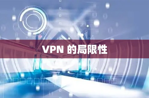VPN 的局限性 VPN 的局限性