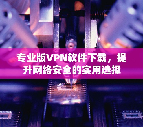 专业版VPN软件下载，提升网络安全的实用选择