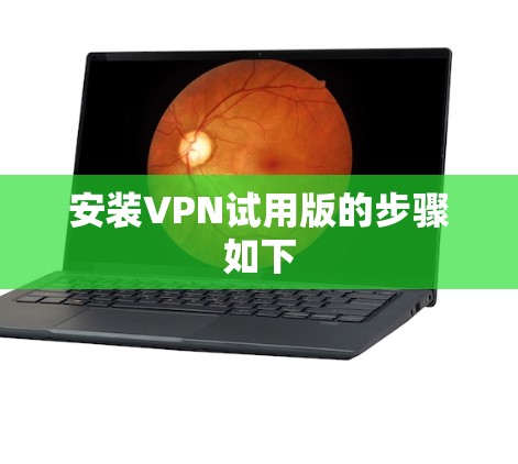 安装VPN试用版的步骤如下