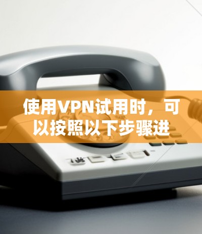 使用VPN试用时，可以按照以下步骤进行操作