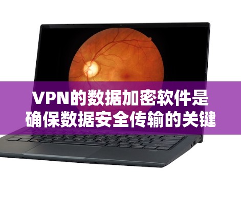 VPN的数据加密软件是确保数据安全传输的关键工具。以下是对这些软件的详细介绍，帮助您做出明智的选择