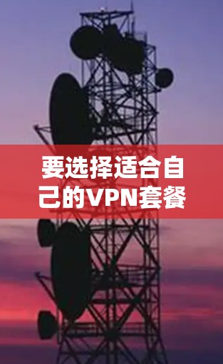 要选择适合自己的VPN套餐，通常需要根据以下因素来决定