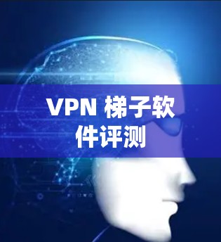 VPN 梯子软件评测 VPN 梯子软件评测