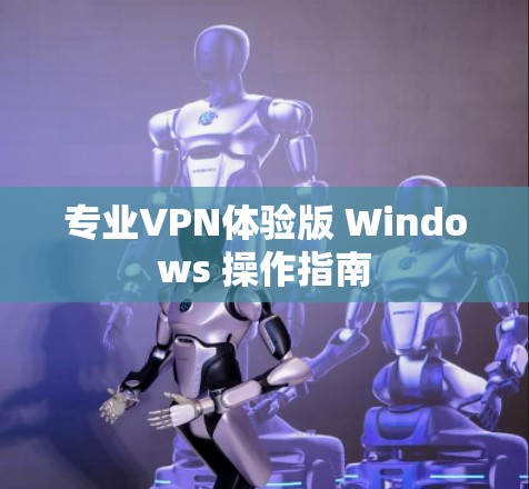 专业VPN体验版 Windows 操作指南