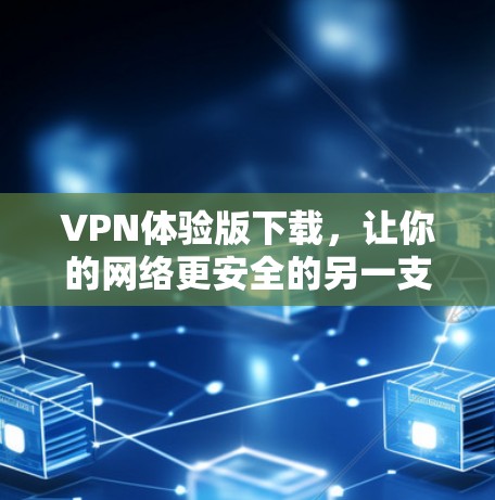 VPN体验版下载,让你的网络更安全的另一支路 VPN体验版下载,让你的网络更安全的另一支路