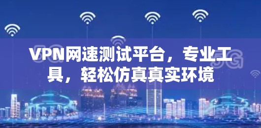 VPN网速测试平台，专业工具，轻松仿真真实环境
