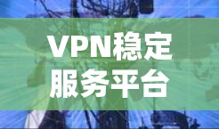 VPN稳定服务平台是为用户提供可靠、稳定且安全的VPN服务的平台，确保用户在网络连接时的稳定性和安全性。以下是该平台的主要特点、优势、操作方法以及使用注意事项的总结